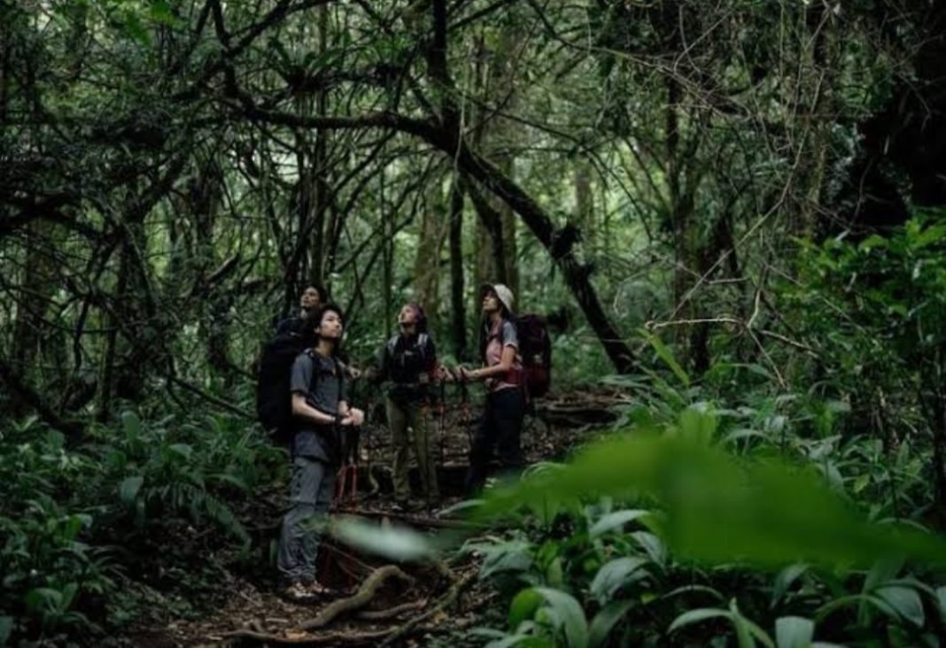 Mengenal Survival: Bukan Hanya Bertahan, Tapi Juga Berpikir.