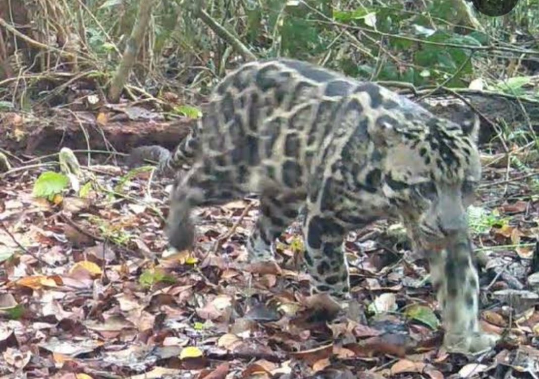 Makna Kehidupan yang Tak Bisa Diulang