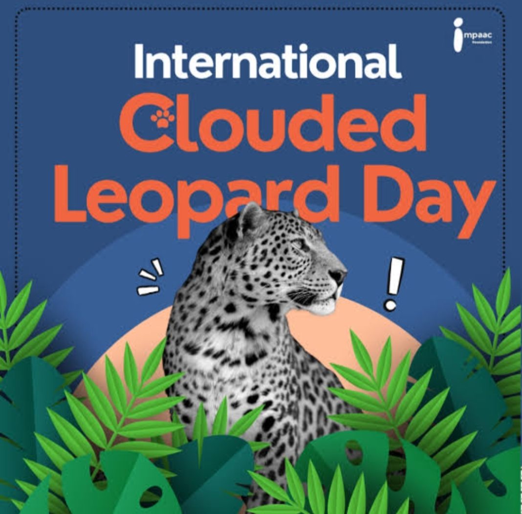 Hari Macan Dahan Internasional (International Clouded Leopard Day)